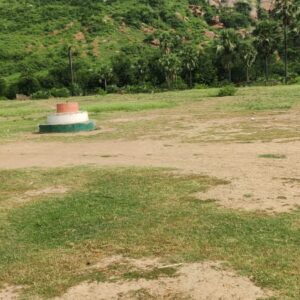 Field